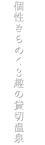 個性きらめく3趣の貸切温泉